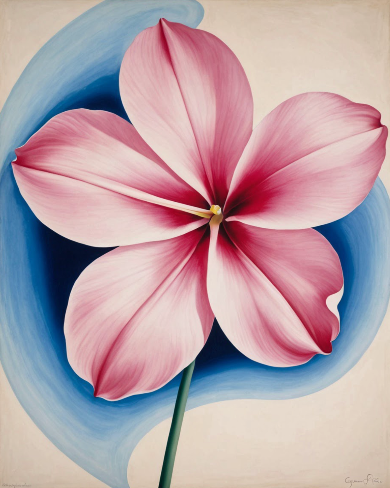 Bloomfire Fuschia Flame No. 02